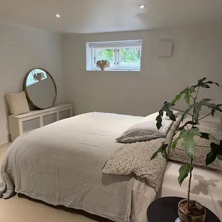 Newly Renovated Bright And Modern Basement For Rent