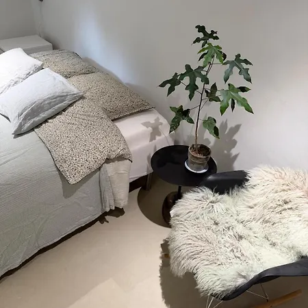 Newly Renovated Bright And Modern Basement For Rent הלרופ