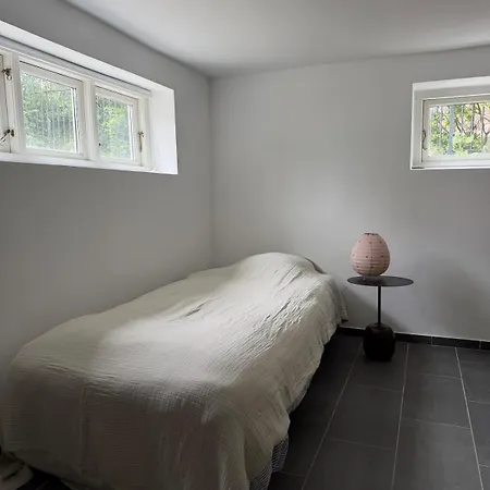 Newly Renovated Bright And Modern Basement For Rent