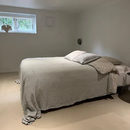 Newly Renovated Bright And Modern Basement For Rent Apartman *