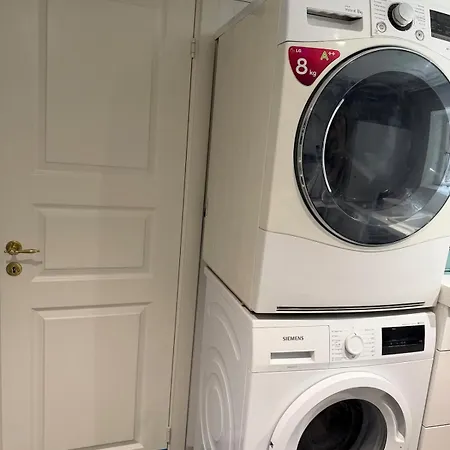 Newly Renovated Bright And Modern Basement For Rent