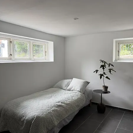 Newly Renovated Bright And Modern Basement For Rent Leilighet *