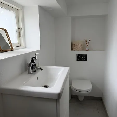 Apartman Newly Renovated Bright And Modern Basement For Rent Hellerup