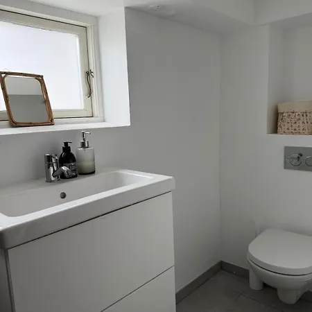 Newly Renovated Bright And Modern Basement For Rent Hellerup