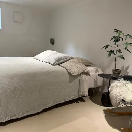 Newly Renovated Bright And Modern Basement For Rent *
