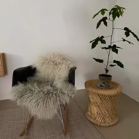 Apartman Newly Renovated Bright And Modern Basement For Rent *